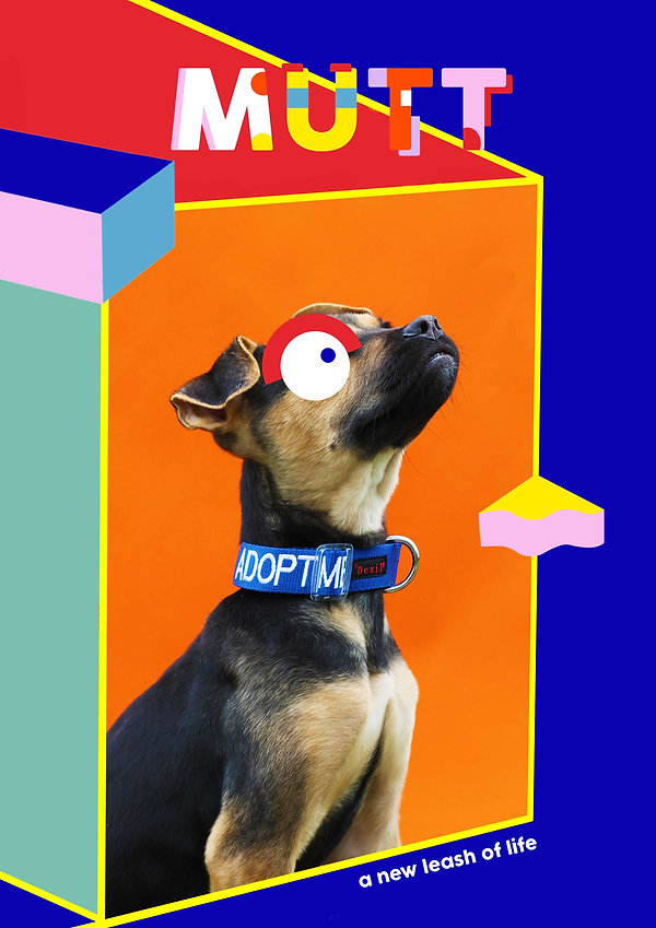 Cover.jpeg
