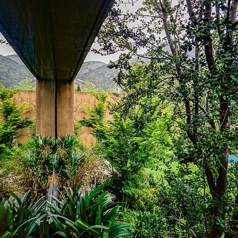 _MG_0588 copia.jpg