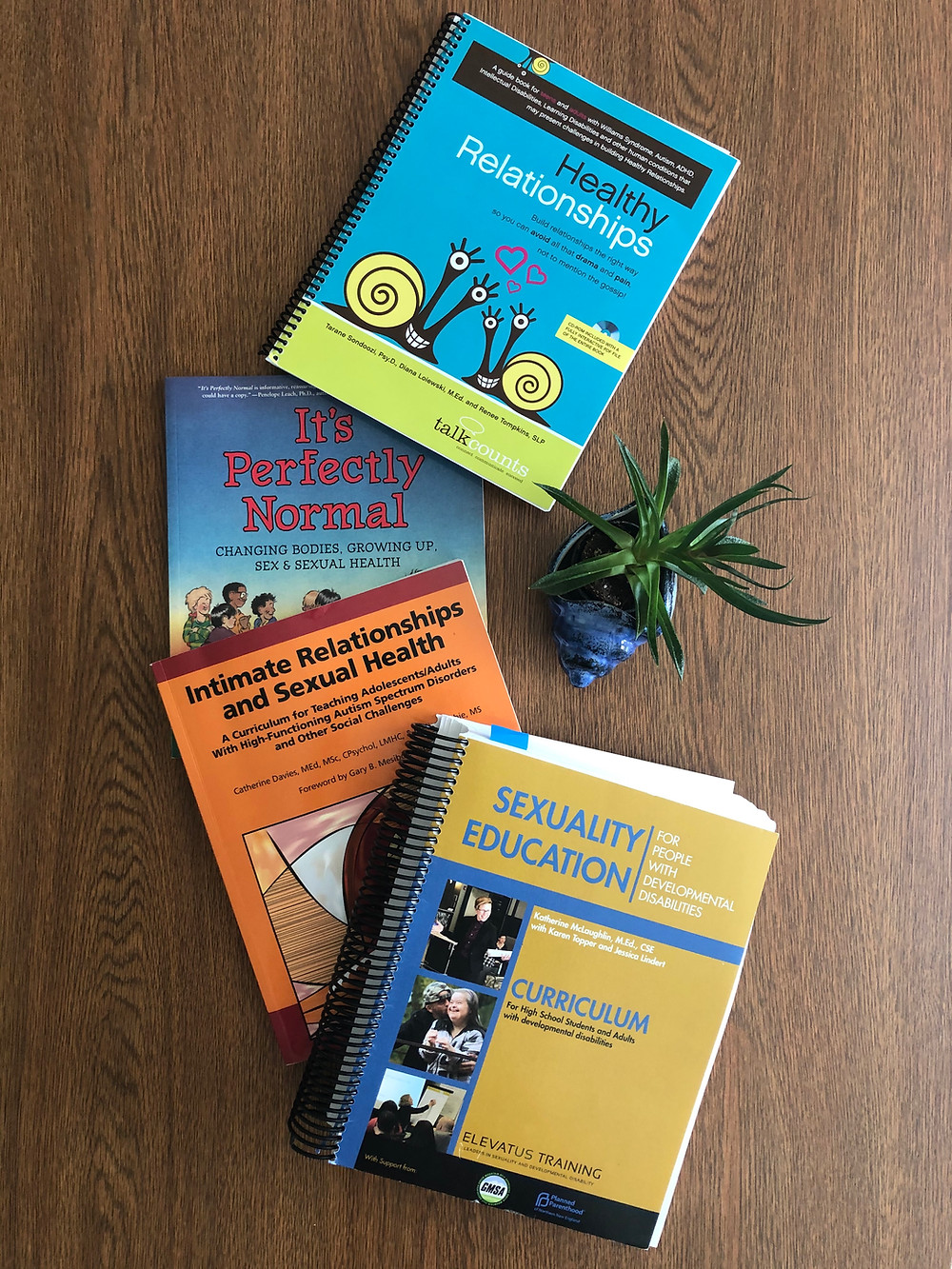 Image of four books artfully displayed; titles include "Sexuality Education,""I'm Perfectly Normal," "Healthy Relationships," and "Intimate Relationships and Sexual Health."