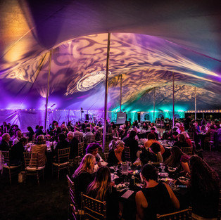 Image showing tables full of party guests sitting down to dinner underneath the tent, with purple lights illuminating the space.