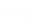 arrow_edited_edited.png