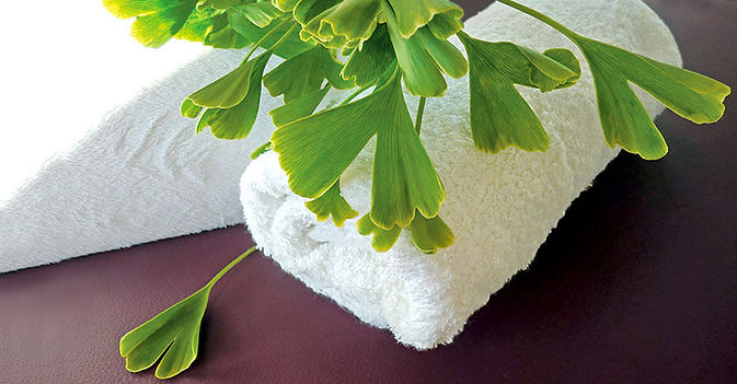 ginko_handtuch.jpg