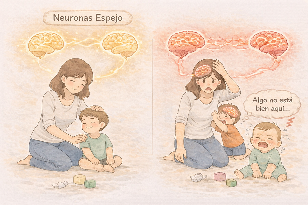 Las neuronas espejo son células cerebrales que se activan cuando observamos el comportamiento o el estado emocional de otra persona. Estas neuronas ayudan a que podamos comprender, imitar y resonar emocionalmente con los demás.