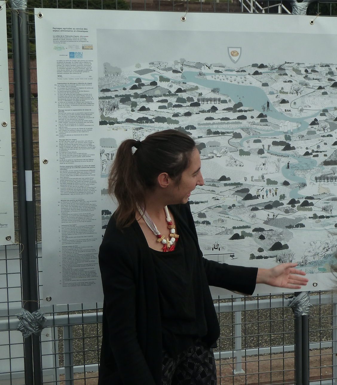 Animation InSitu