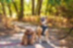 Two dogs sitting in a forest at Pawnee Prairie Park in Wichita, KS