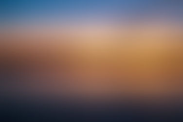 Dog-Friendly Guide to Exploring Beaufort, South Carolina