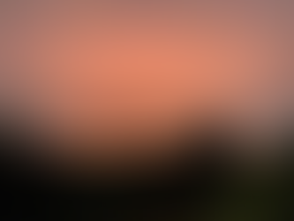 Rohingya Facing Existential Threat in Arakan 