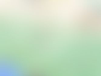 Christian Solidarity International Newsletter