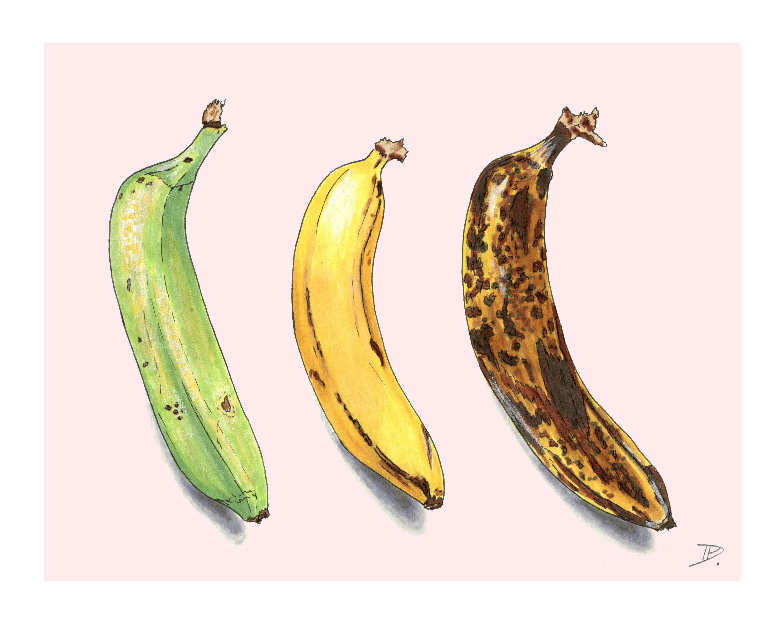 Woman with artichoke.jpg