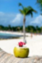 Thumbnail: The Island Express