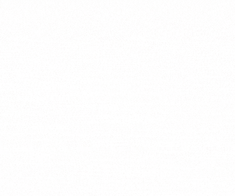 S020_C_P4.gif