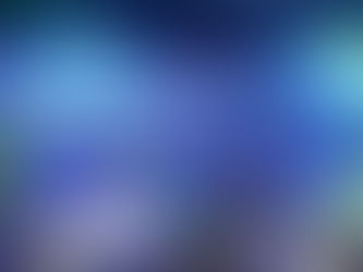 Panel discussion at Ecosystem Exchange