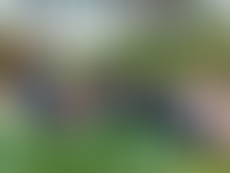 80 jeunes à la découverte d'un éco-quartier 🌱