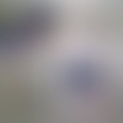 תוכנית החלל נשארה בחלל