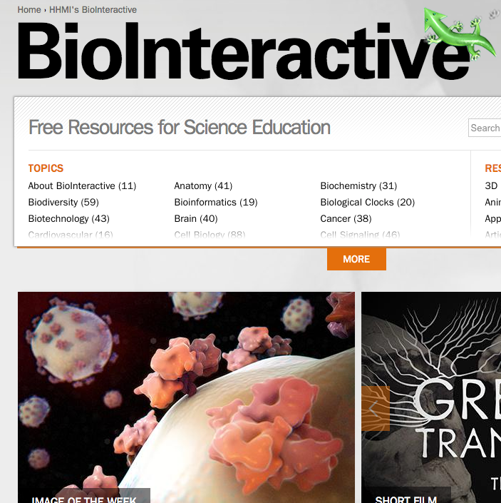 BioInteractive