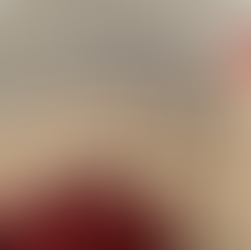 Red African Daisy Granny Square Crochet