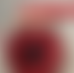 Red African Daisy Granny Square Crochet