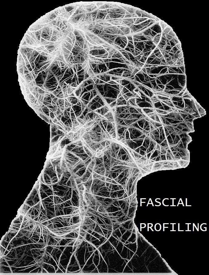 Beacon Bodyworks - Image 4