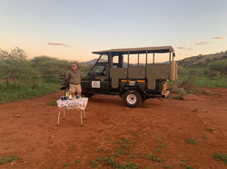 Safari picnic invite