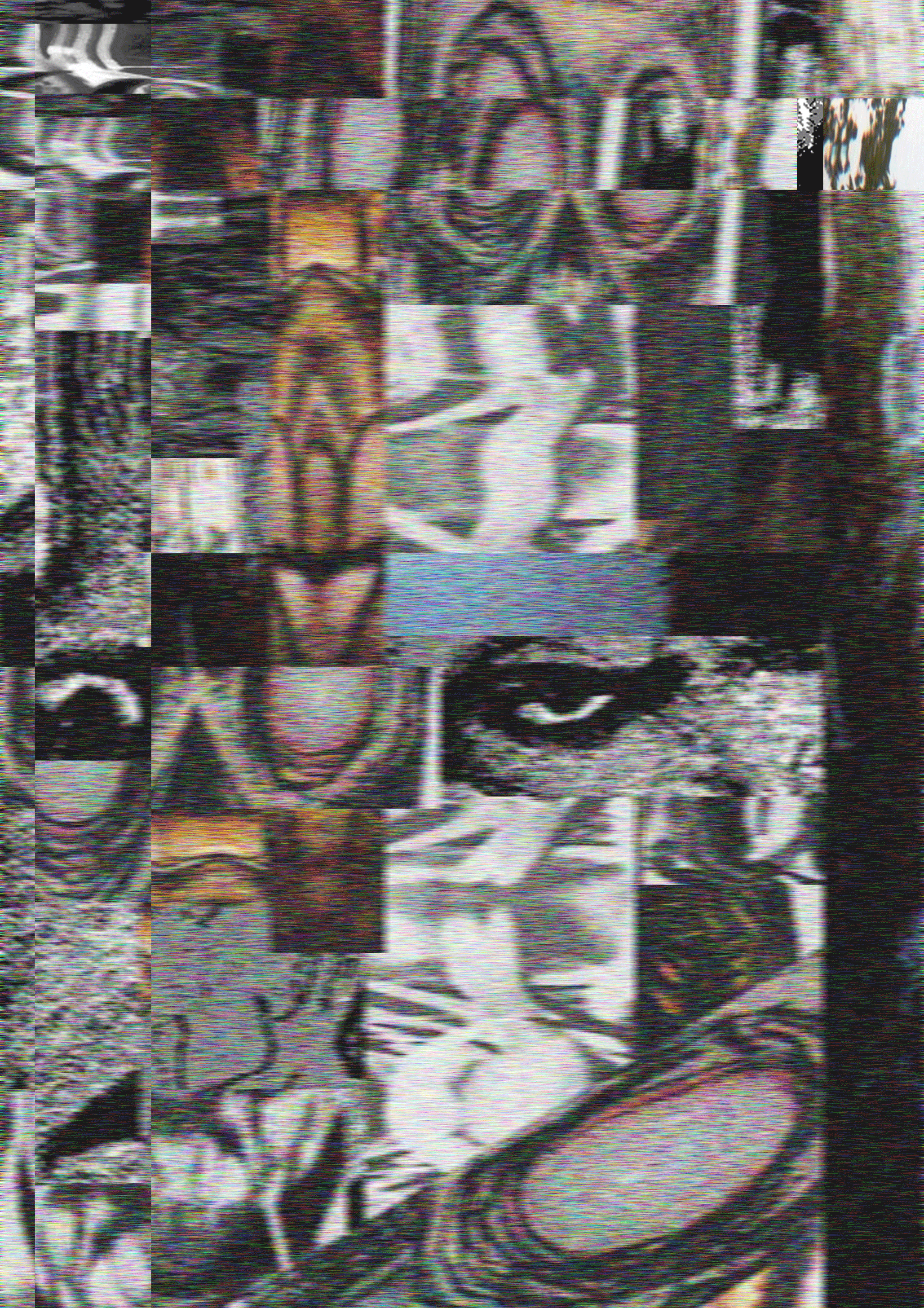 collage-1.gif