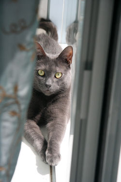 Casper