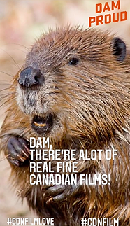 Screen Shot 2021-03-26 at 1.08.15 PM.png