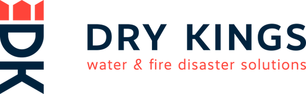 Drykings_Logo_Claim_RGB_horizontal_pos.png