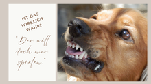 Wie du es schaffst, ohne schlechtes Gewissen, Grenzen zu setzen