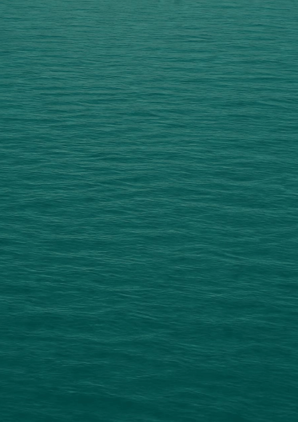 Website Hintergrund neu(1).png
