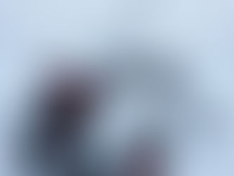 Winter Update