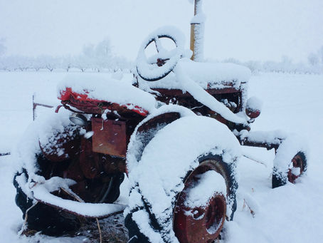 Winter Update