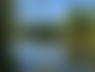 Caractérisation écologique - Sainte-Adèle, Chantecler