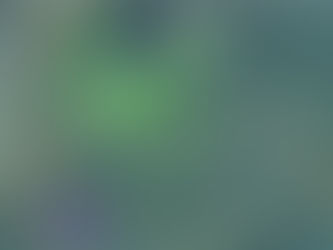 PAE du Parc de l'Héritage sur le Cap-aux-Corbeaux (2019)