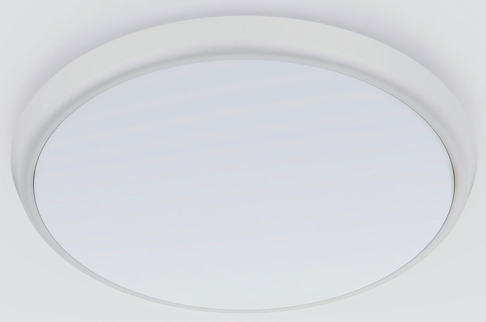 Waterproof AL08 2 LED Ceiling Light