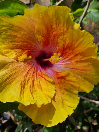 image000000 (5).heic