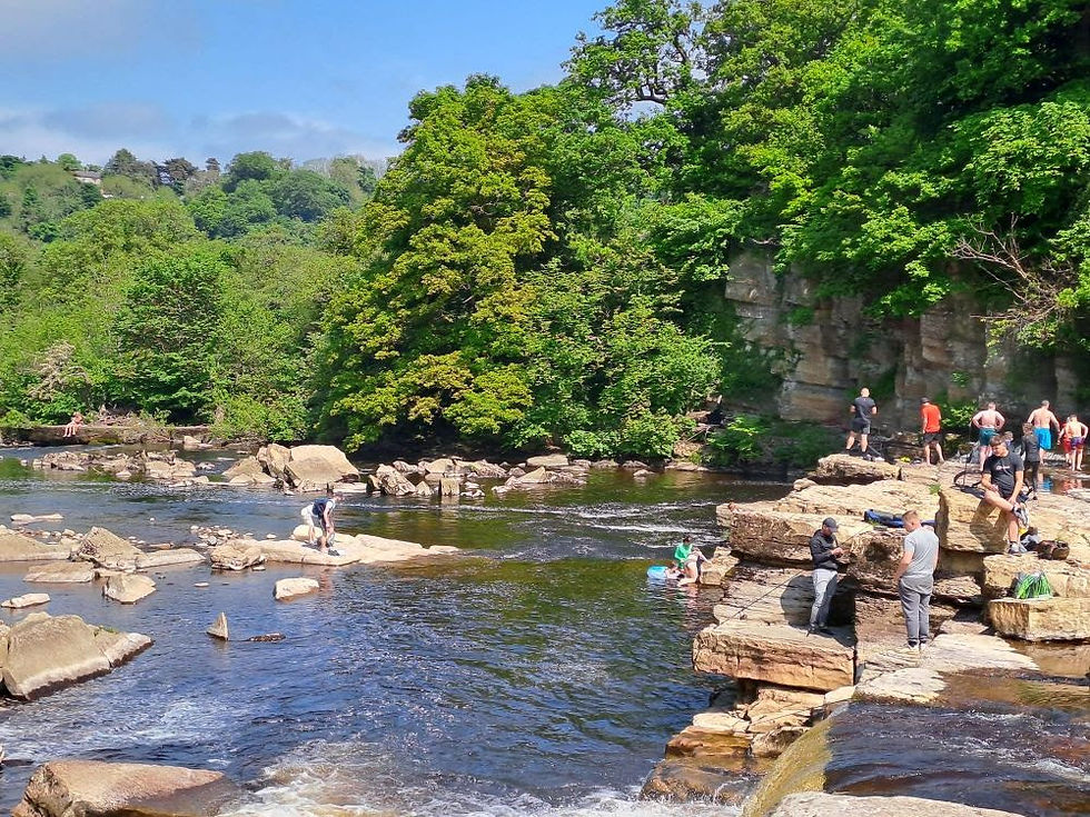 Bathers at Richmond Falls this summer. Would they swim if they knew the state of the water?