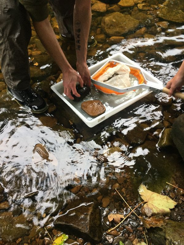 hand sampling for invertebrates
