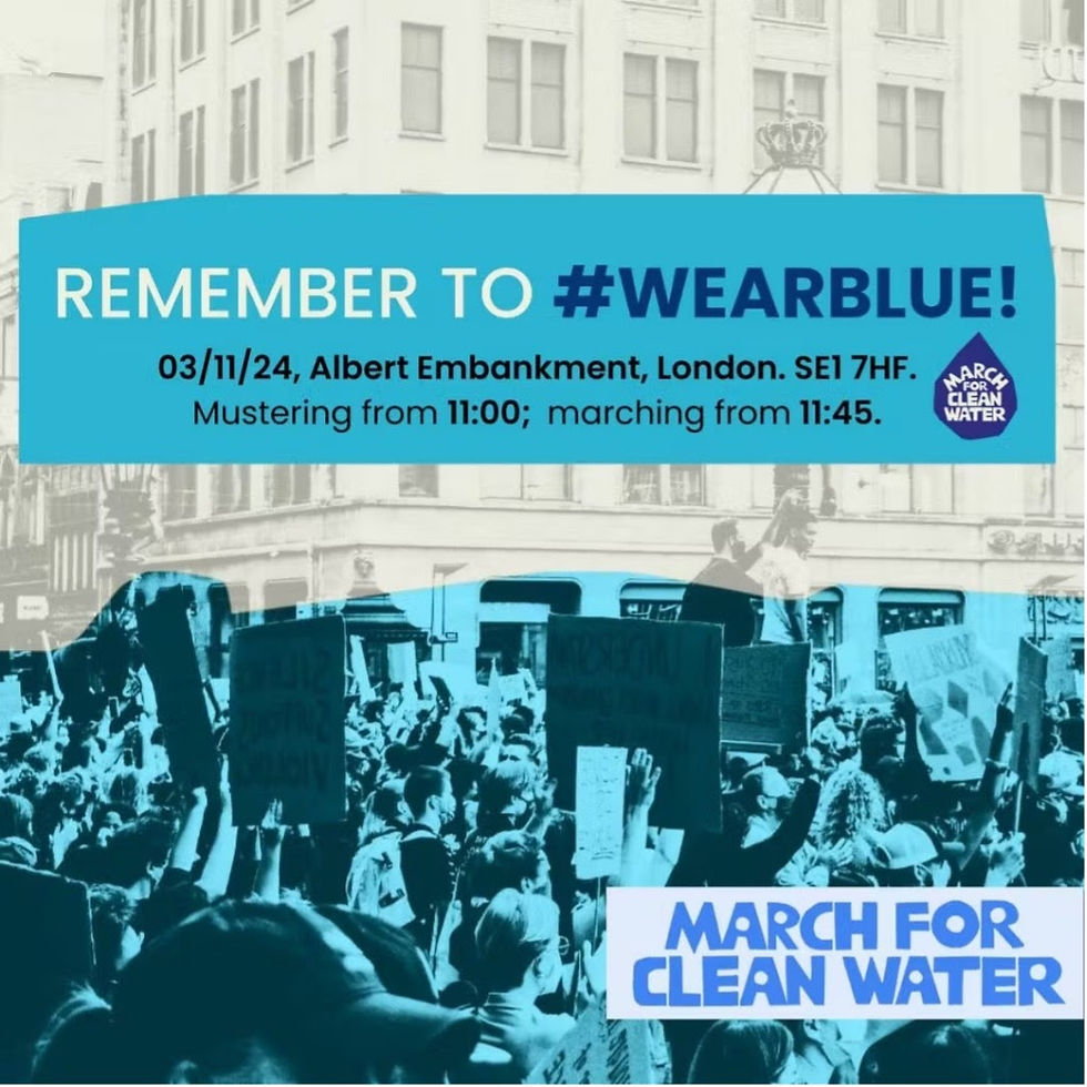 March For Clean Water, London, 3rd November at 11am