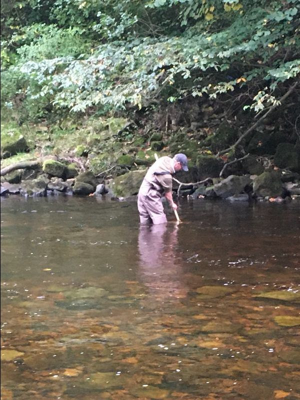 Jason Sartin sampling