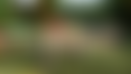 Lubenham Scarecrow Festival Centrepiece. 2023