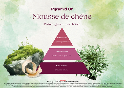 Mousse de chène.png