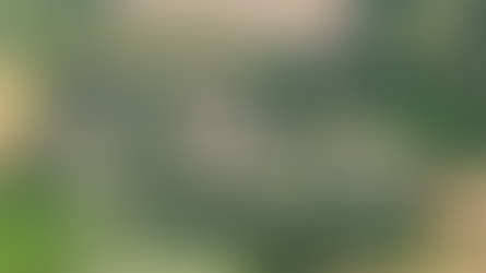 Planning Granted for Holiday Park in Essex!