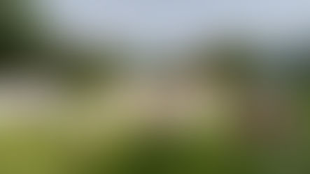 We Designed this Year's Lubenham Scarecrow Festival Centrepiece!