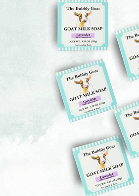 Copy of Bubbly Goat Catalog.pdf (1).png