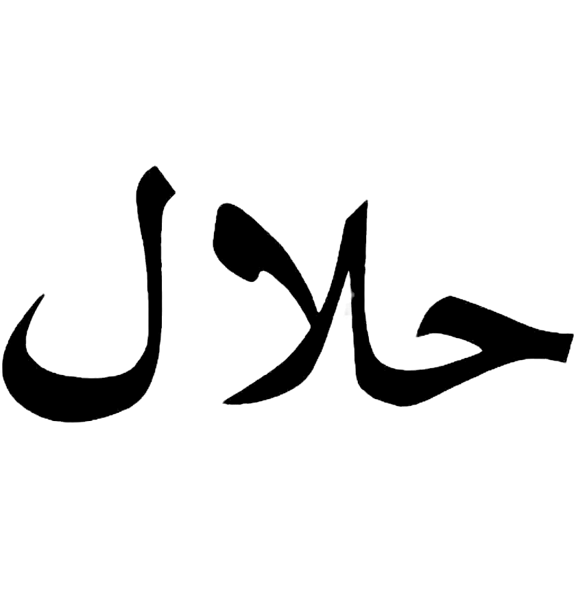 there-halal-arabic-11563470883hdnlnjzovd_edited.png