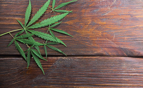 SynBio CBD Supplements