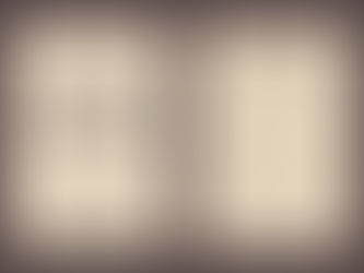 Optimizing Your Menu for Maximum Profits