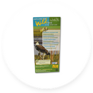 BROCHURES