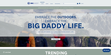 Big Daddy Life homepage