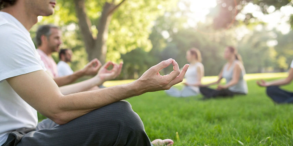 People meditating in a sunlit park, sitting cross-legged with hands in mudra positions. Green grass and blurred trees in the background. Calm ambiance.